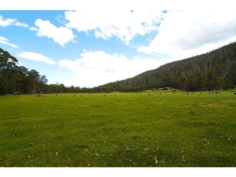 1140 Lonnavale Road, Lonnavale TAS 7109