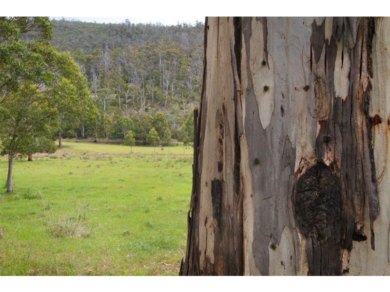 1140 Lonnavale Road, Lonnavale TAS 7109