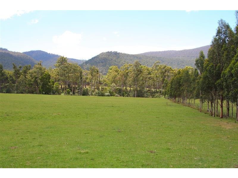 1140 Lonnavale Road, Lonnavale TAS 7109