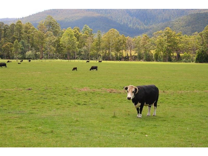 1140 Lonnavale Road, Lonnavale TAS 7109