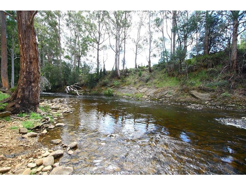 1140 Lonnavale Road, Lonnavale TAS 7109