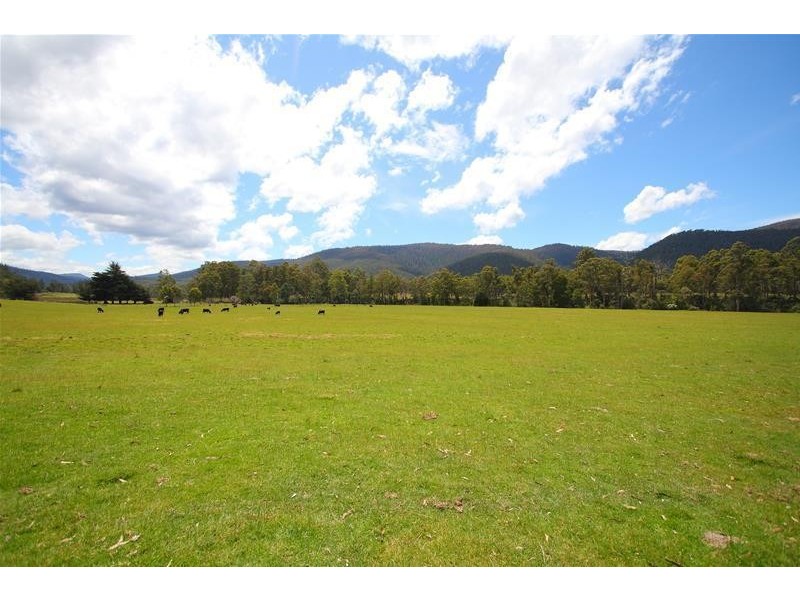 1140 Lonnavale Road, Lonnavale TAS 7109