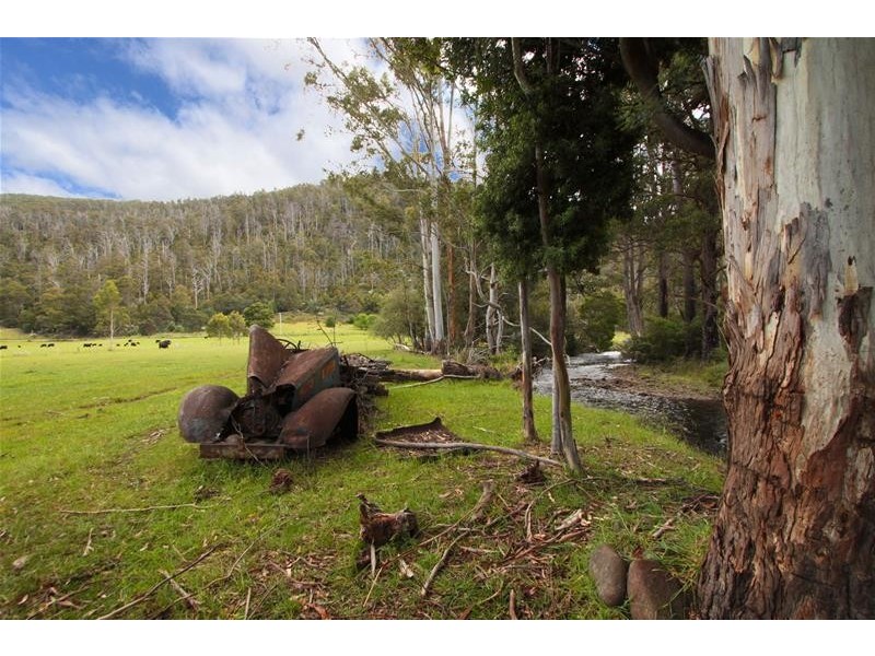 1140 Lonnavale Road, Lonnavale TAS 7109