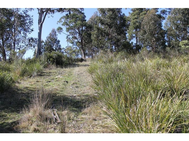 40 Cross Road, Nicholls Rivulet TAS 7112