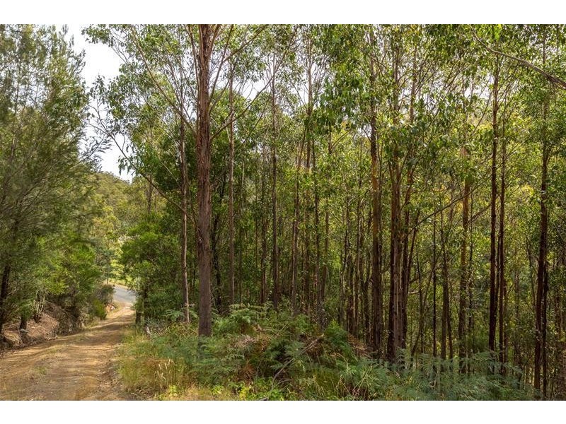 1123 Pelverata Road, Pelverata TAS 7150