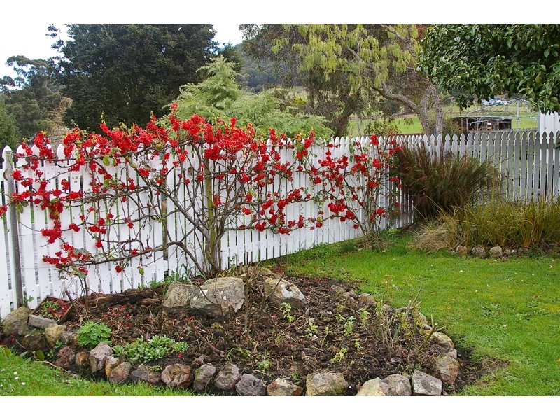 21 Victoria Street, Ranelagh TAS 7109