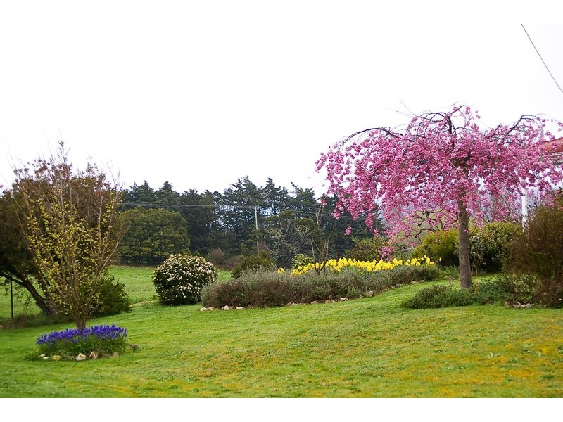 21 Victoria Street, Ranelagh TAS 7109