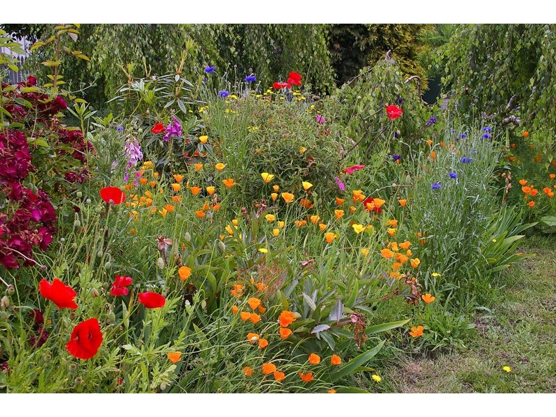 21 Victoria Street, Ranelagh TAS 7109