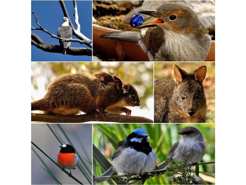 5631 Channel Highway, Verona Sands TAS 7112