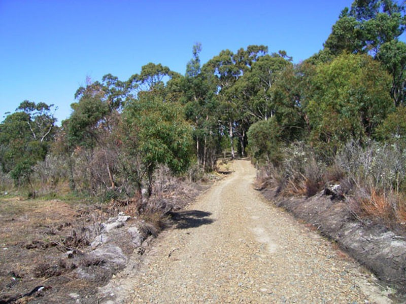 216 Lune River Road, Lune River TAS 7109