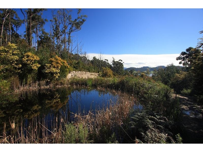 RA Dillons Hill Road, Glaziers Bay TAS 7109