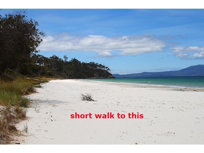 52 Dunns Drive, Surveyors Bay TAS 7116