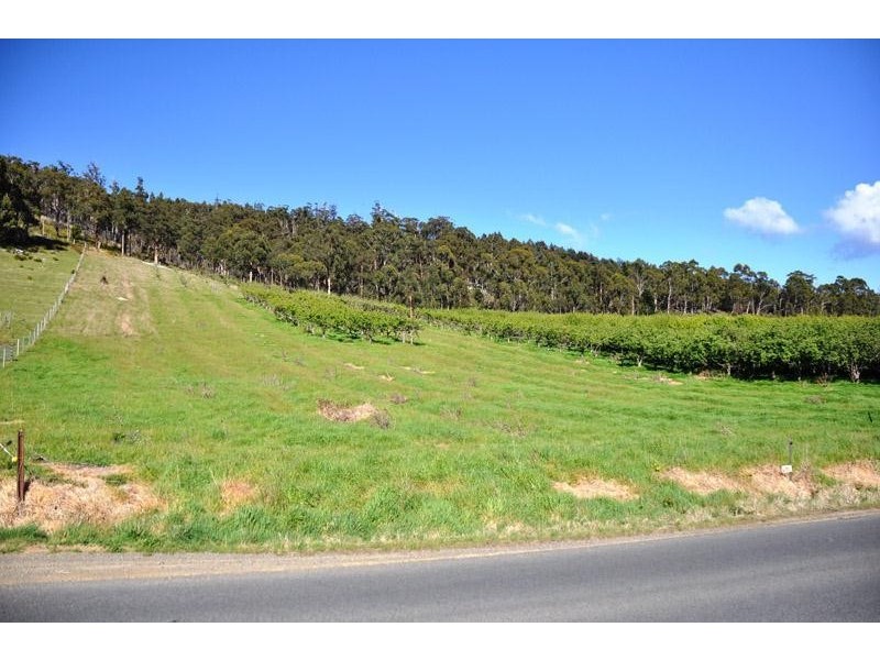 Lot 3 Scotts Road, Geeveston TAS 7116