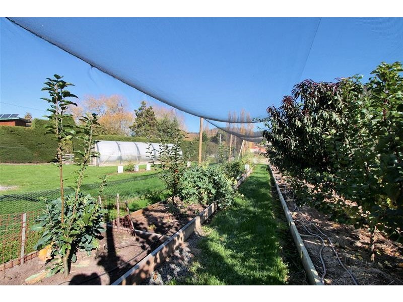 11 Guys Road, Cygnet TAS 7112