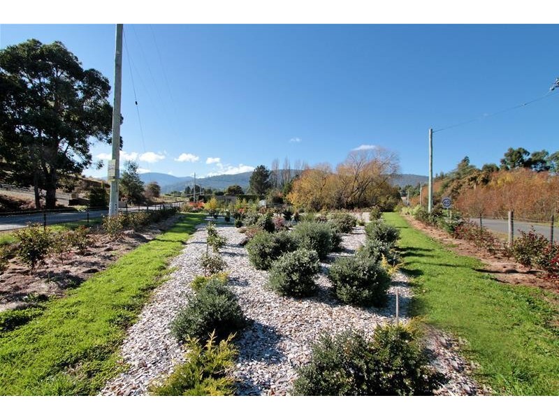 11 Guys Road, Cygnet TAS 7112