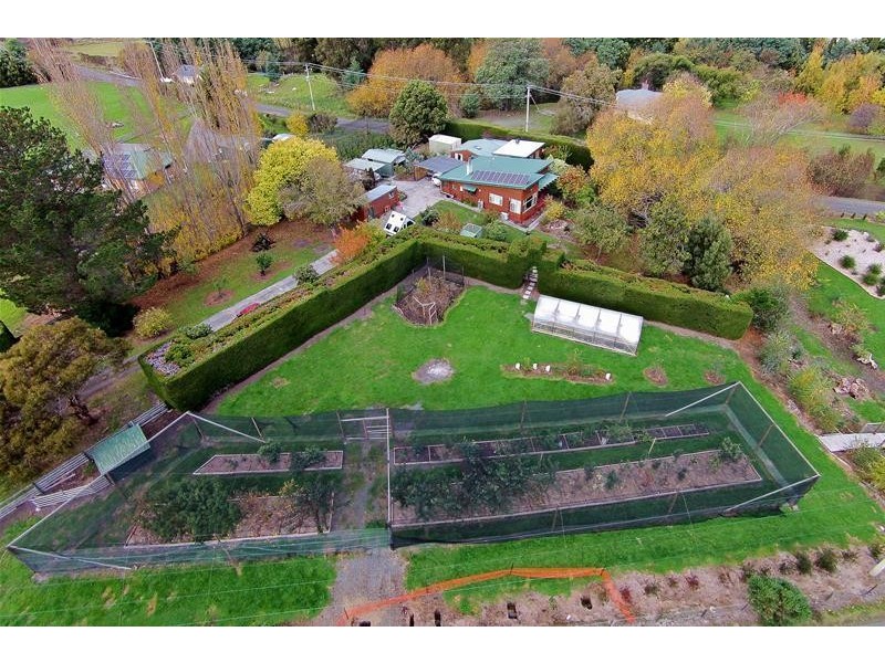 11 Guys Road, Cygnet TAS 7112