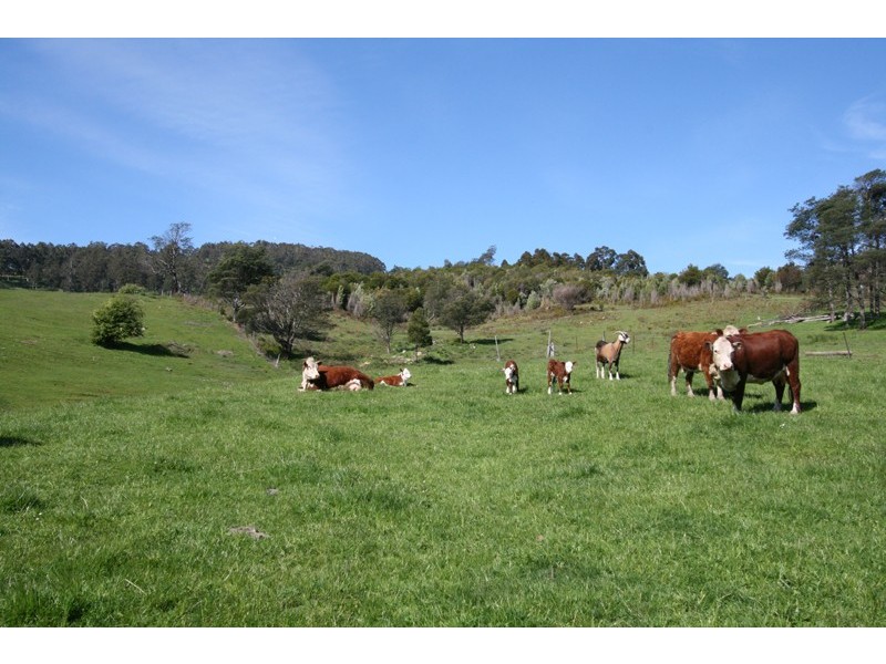 82 Fourfoot Road, Geeveston TAS 7116