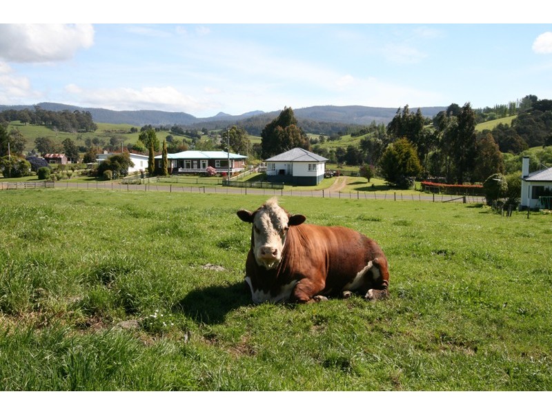 82 Fourfoot Road, Geeveston TAS 7116