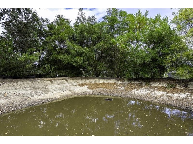 464 Cygnet Coast Road, Petcheys Bay TAS 7109