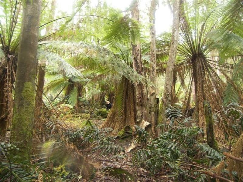 142781/2 New Road, Franklin TAS 7113