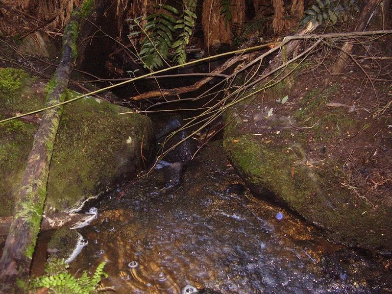 142781/2 New Road, Franklin TAS 7113