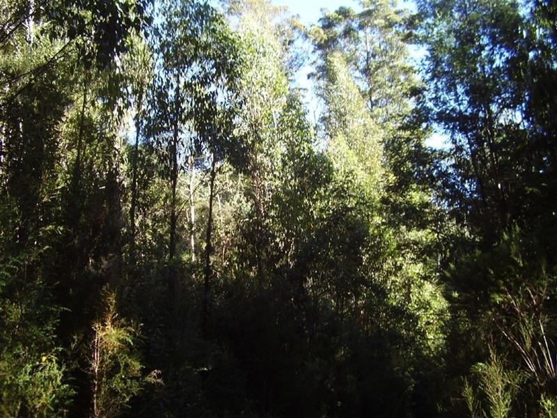 142781/2 New Road, Franklin TAS 7113