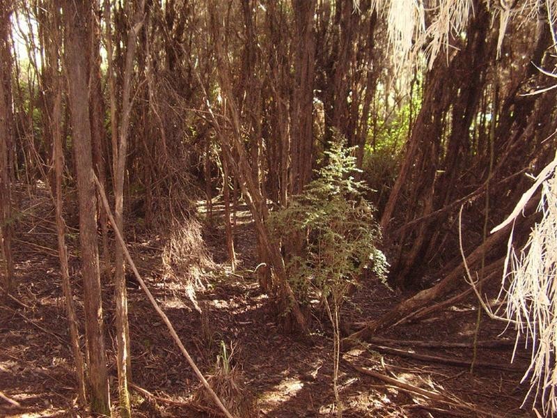 142781/2 New Road, Franklin TAS 7113