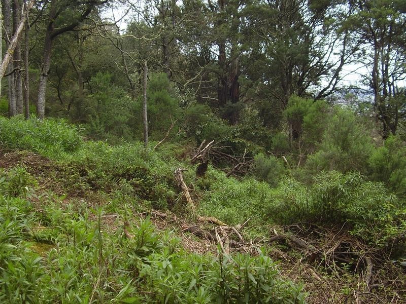 142781/2 New Road, Franklin TAS 7113