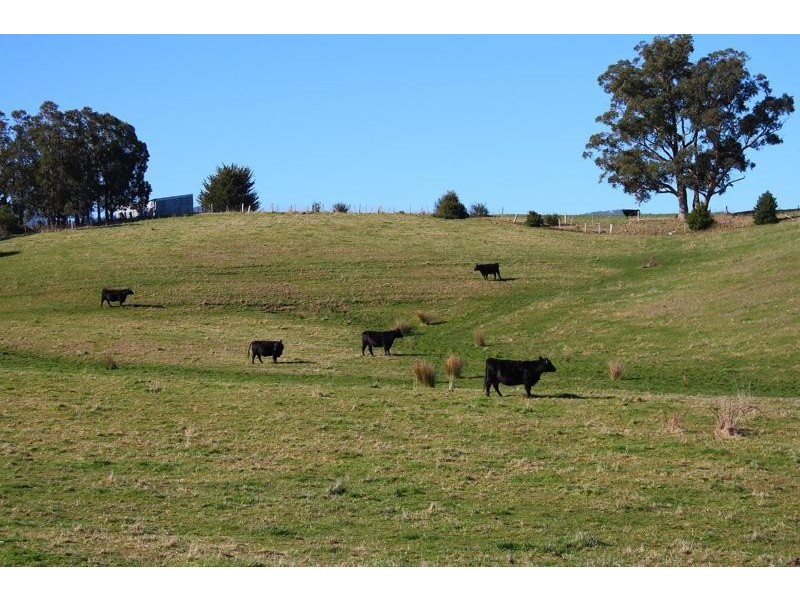 Lot 1 Cross Road, Lucaston TAS 7109