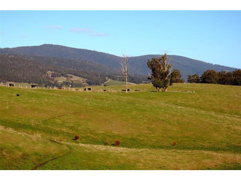 Lot 1 Cross Road, Lucaston TAS 7109