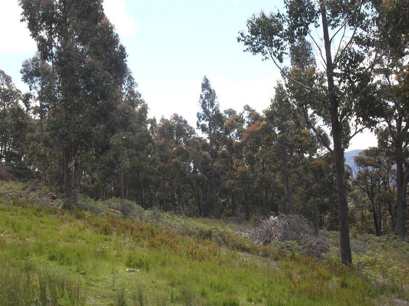 174 Sunny Hills Road, Huonville TAS 7109