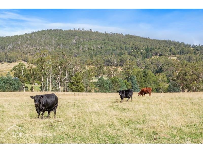 4695 Huon Highway, Geeveston TAS 7116