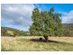 4695 Huon Highway, Geeveston TAS 7116