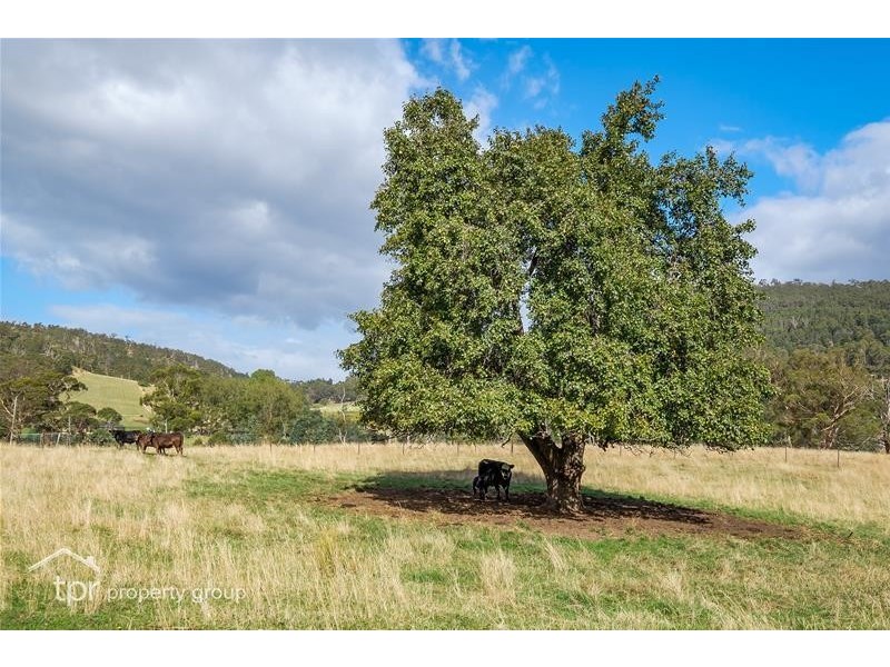 4695 Huon Highway, Geeveston TAS 7116