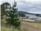 138843/1 Chapman Avenue, Dover TAS 7117