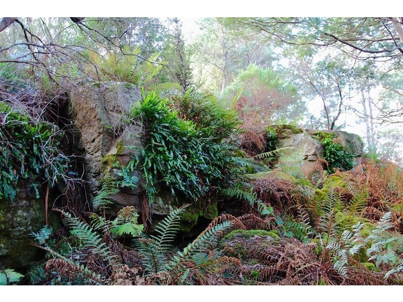 410 Cloverside Road, Lucaston TAS 7109