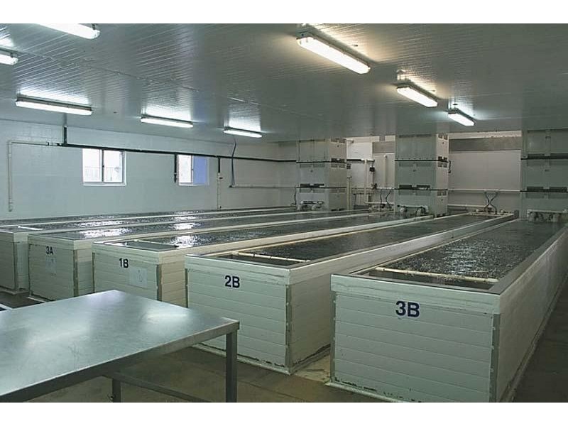 23-29 Harvey Town Road, Dover TAS 7117