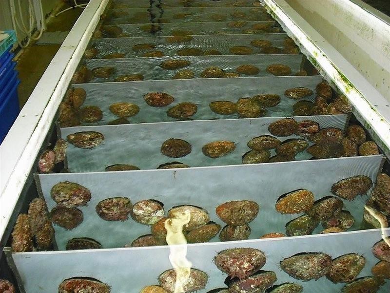 23-29 Harvey Town Road, Dover TAS 7117