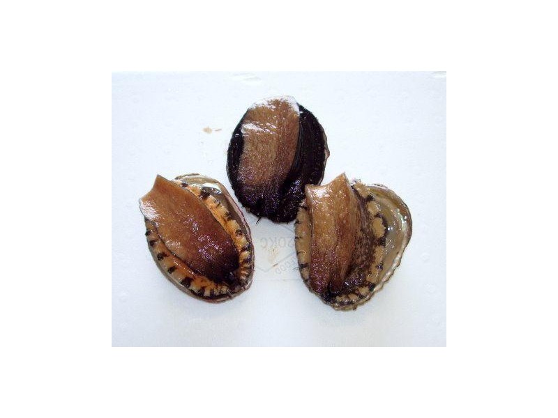 23-29 Harvey Town Road, Dover TAS 7117