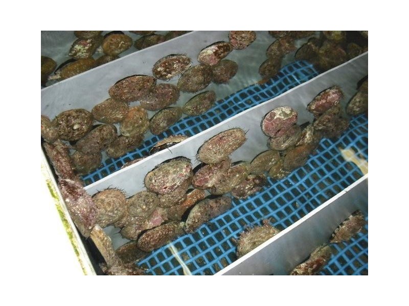 23-29 Harvey Town Road, Dover TAS 7117