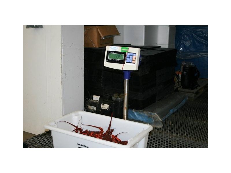 23-29 Harvey Town Road, Dover TAS 7117