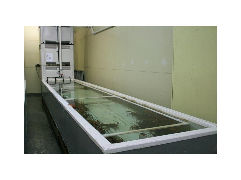 23-29 Harvey Town Road, Dover TAS 7117