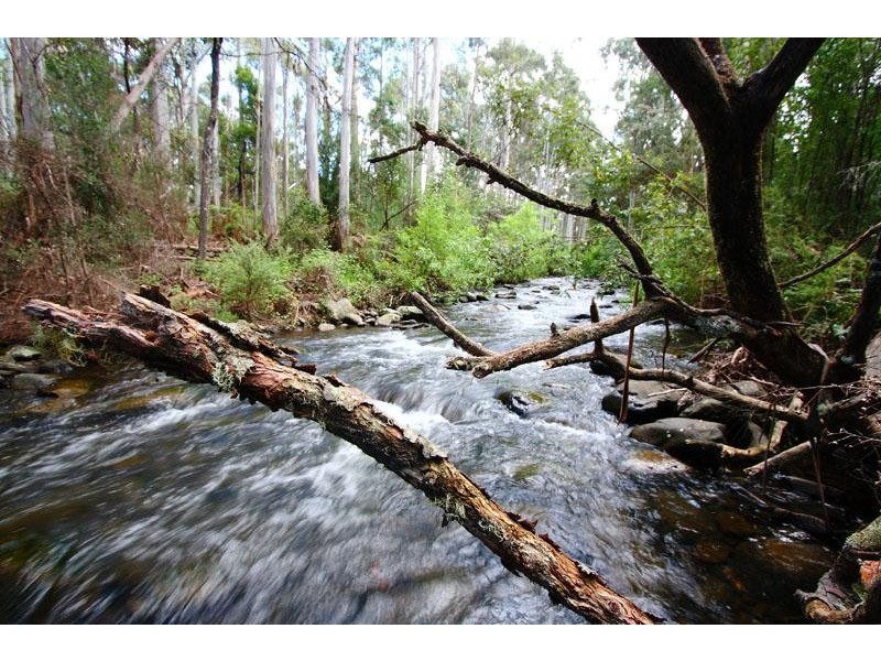 258 Crabtree Road, Crabtree TAS 7109