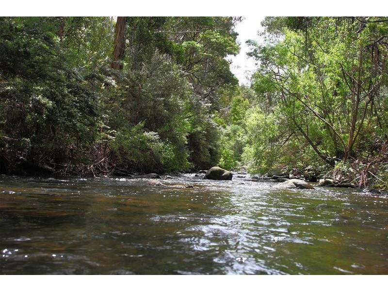 258 Crabtree Road, Crabtree TAS 7109