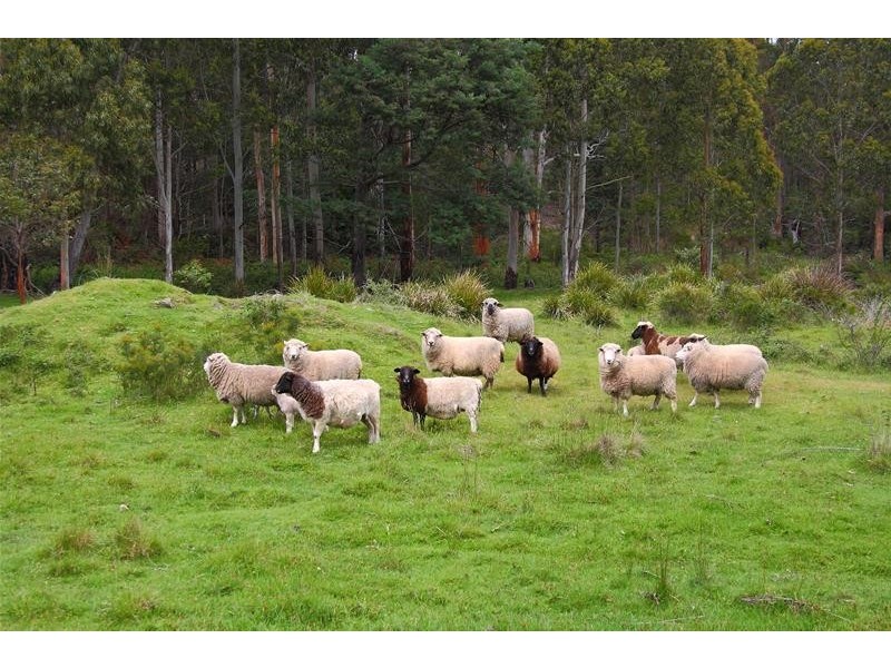 258 Crabtree Road, Crabtree TAS 7109