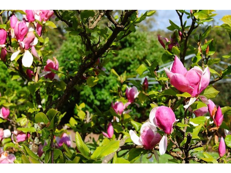 201 Mountain River Road, Mountain River TAS 7109