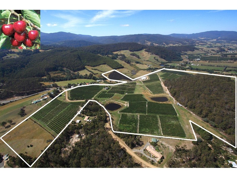 7891 Channel Highway, Cygnet TAS 7112