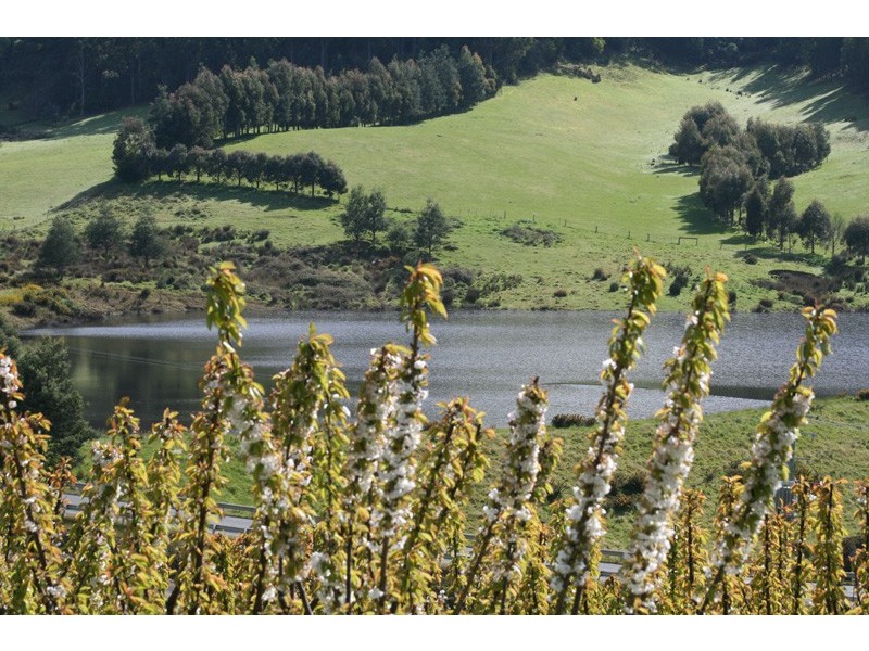 7891 Channel Highway, Cygnet TAS 7112