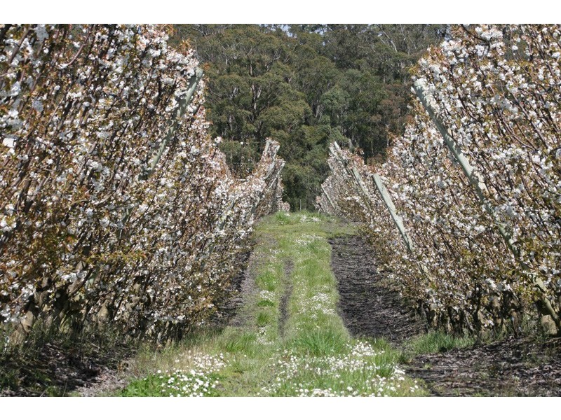 7891 Channel Highway, Cygnet TAS 7112