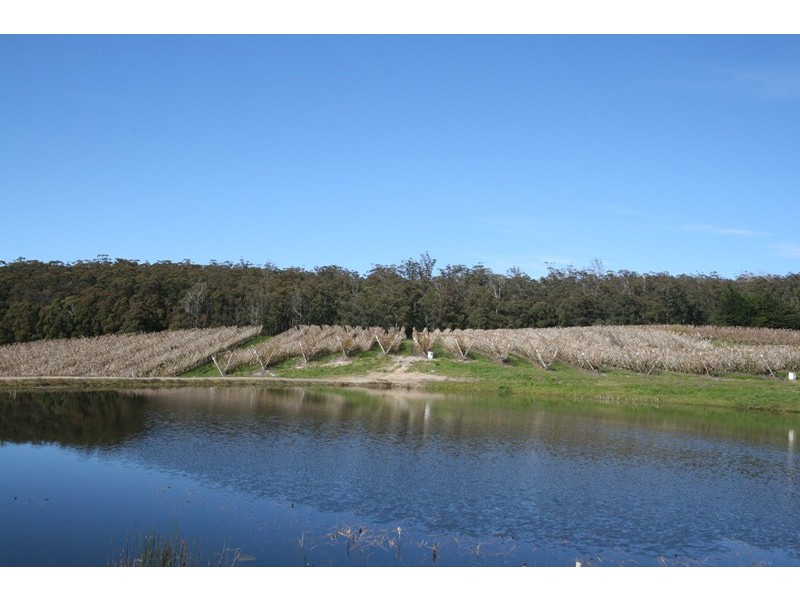 7891 Channel Highway, Cygnet TAS 7112